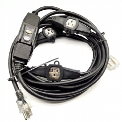 Multi-socket extension power cord